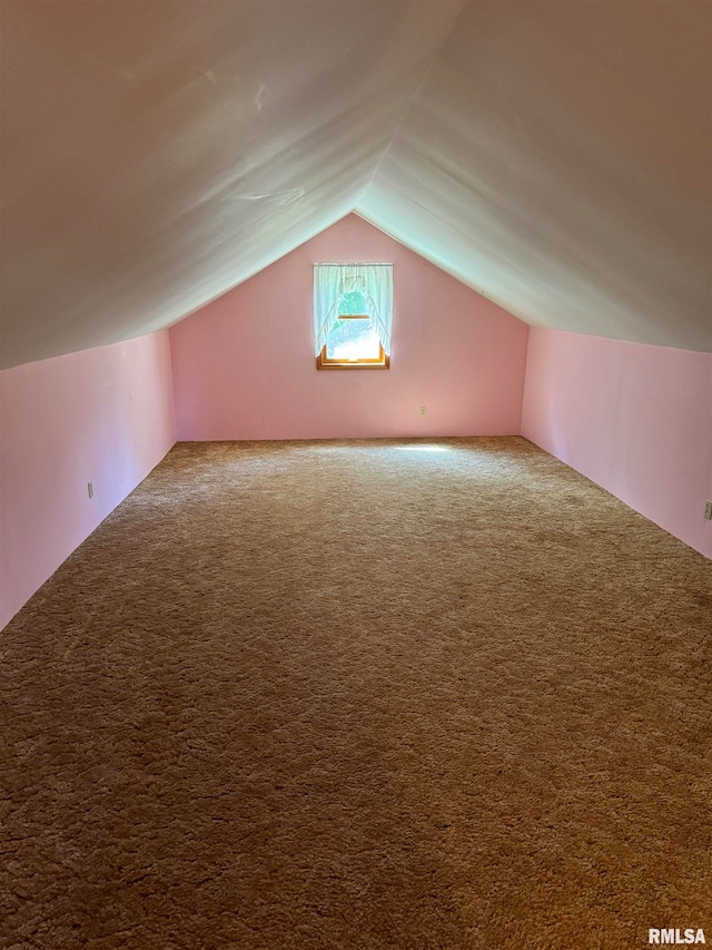 additional living space with carpet flooring and vaulted ceiling