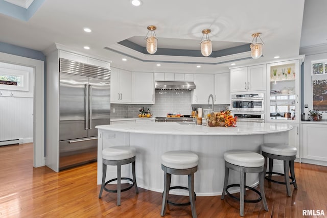 kitchen featuring white cabinets, under cabinet range hood, appliances with stainless steel finishes, a raised ceiling, and light wood-type flooring