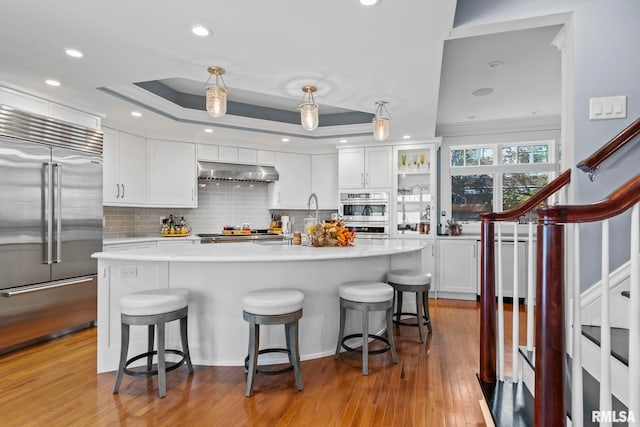 kitchen with under cabinet range hood, a tray ceiling, stainless steel appliances, white cabinets, and light countertops