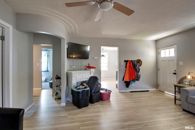 interior space with ceiling fan, plenty of natural light, and light hardwood / wood-style flooring