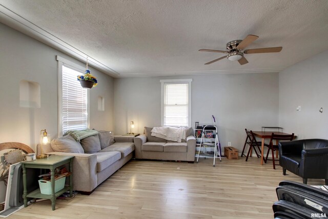 living room featuring ceiling fan, light hardwood / wood-style floors, crown molding, and a textured ceiling