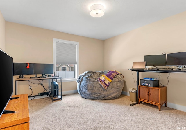 bedroom with carpet flooring