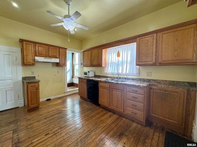 kitchen featuring ceiling fan, dishwasher, dark hardwood / wood-style floors, and sink