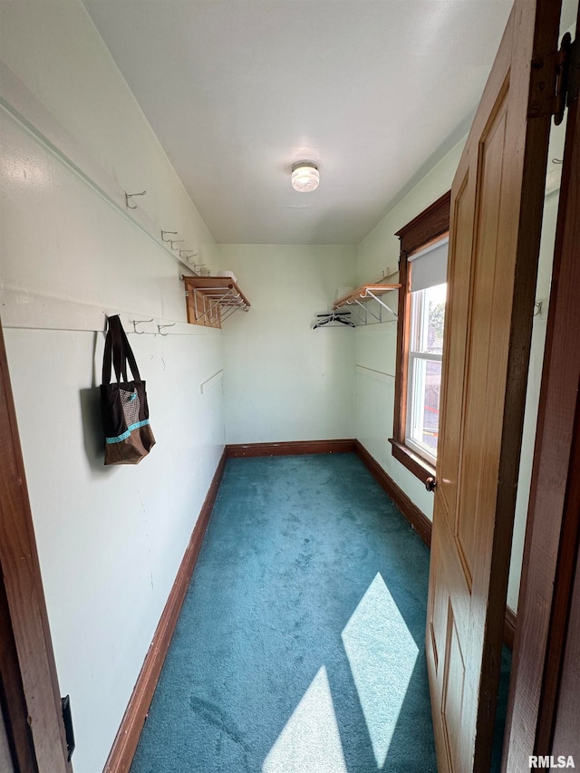 spacious closet with carpet flooring