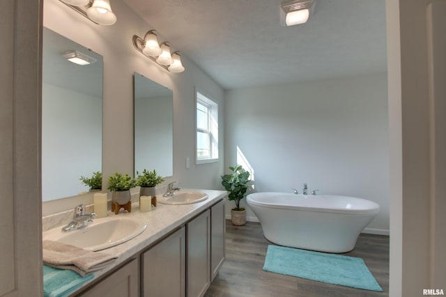 bathroom with a bath, wood-type flooring, and vanity