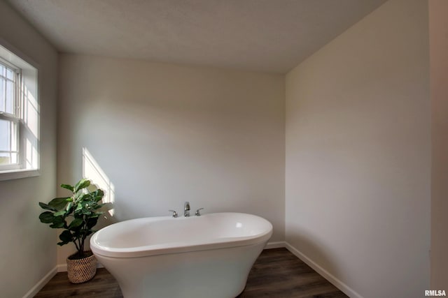 bathroom with hardwood / wood-style floors and a tub