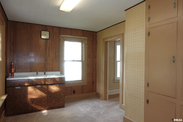 bathroom with vanity and wooden walls