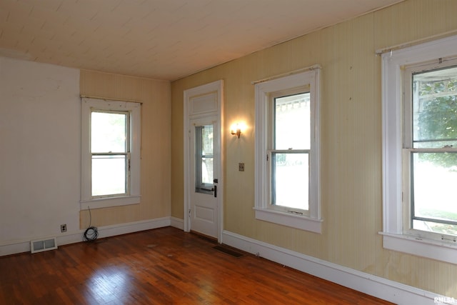 foyer featuring dark hardwood / wood-style flooring and a wealth of natural light