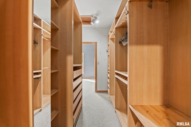 spacious closet featuring light carpet