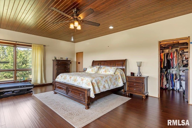 bedroom featuring wood ceiling, dark hardwood / wood-style flooring, a closet, ceiling fan, and a walk in closet