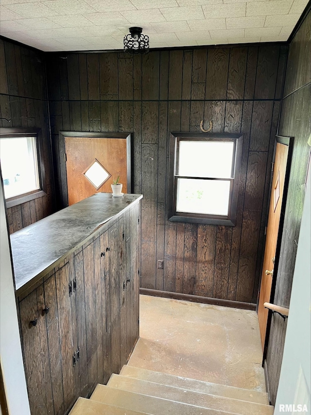 interior space with wooden walls and dark brown cabinetry