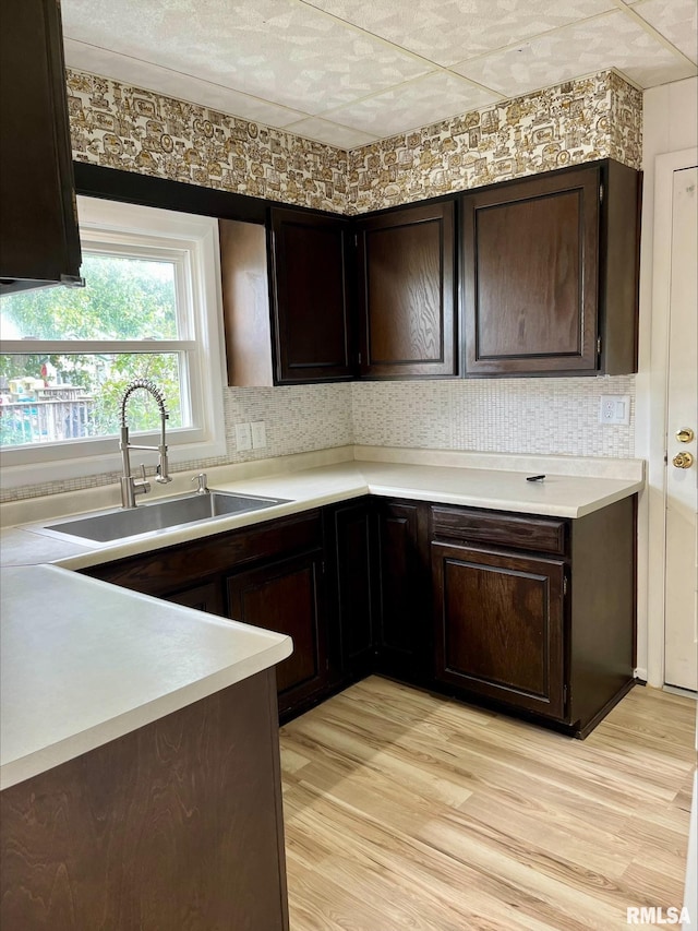 kitchen featuring light wood-type flooring, dark brown cabinets, sink, and tasteful backsplash