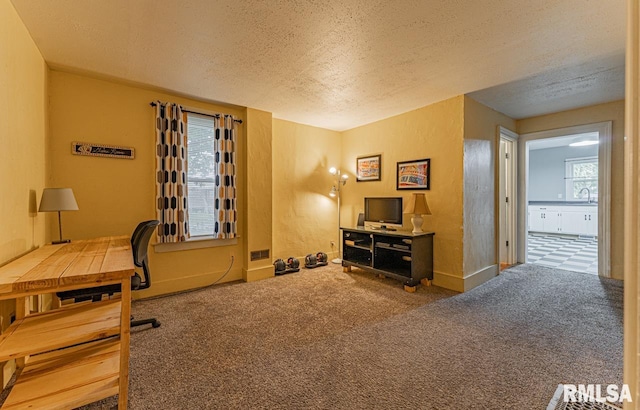 carpeted office featuring a textured ceiling, a healthy amount of sunlight, and sink