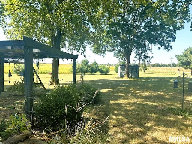 view of yard featuring a storage shed