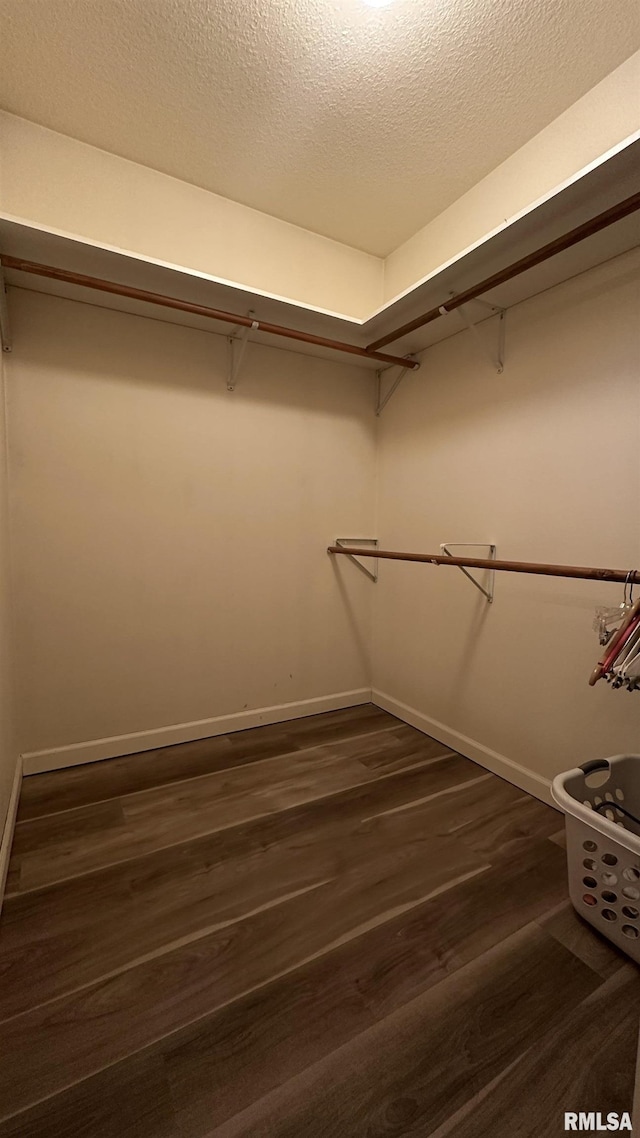 walk in closet featuring dark wood-type flooring