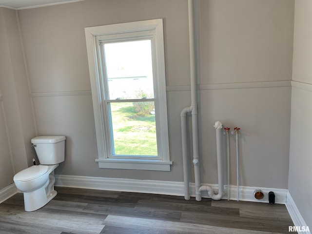 bathroom with wood-type flooring and toilet