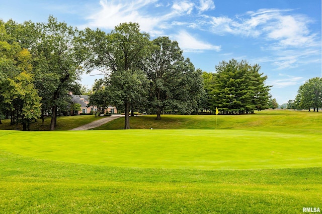 view of home's community with a lawn