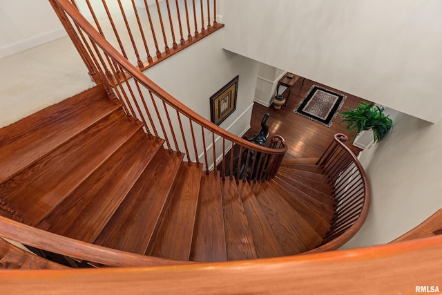 staircase featuring wood-type flooring