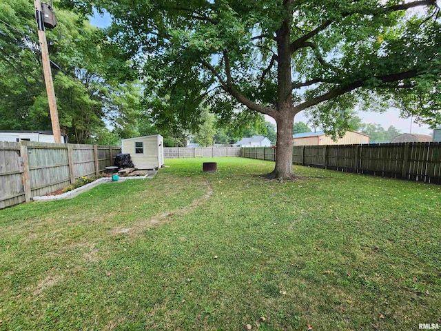 view of yard with a storage unit