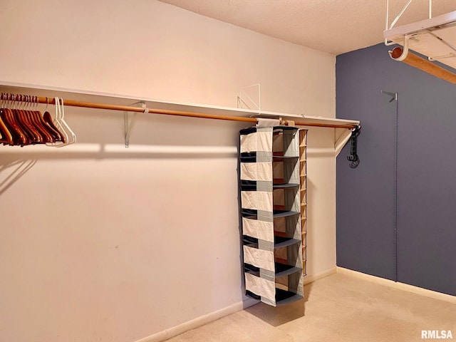 spacious closet featuring carpet