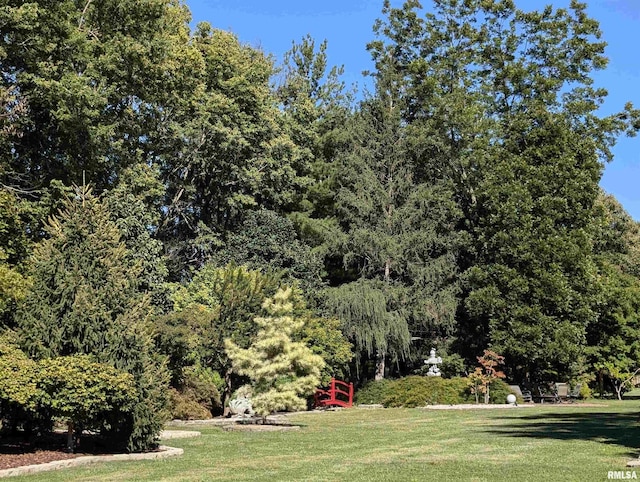 view of home's community featuring a yard