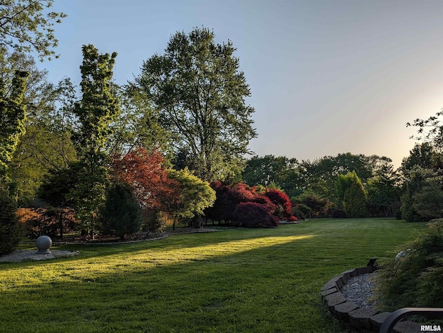 view of yard at dusk