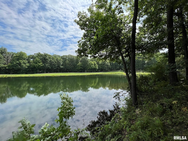 224 Beyers Lake Est, Pana, IL 62557