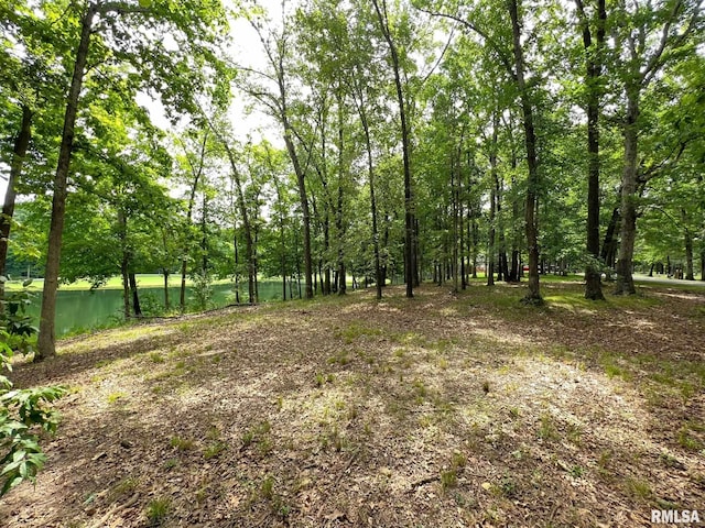 224 Beyers Lake Est, Pana, IL 62557