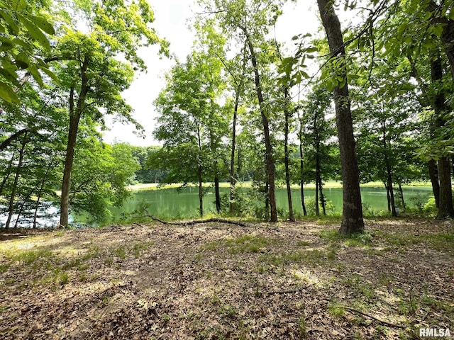 224 Beyers Lake Est, Pana, IL 62557