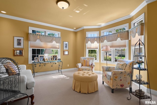 sitting room featuring light carpet and crown molding