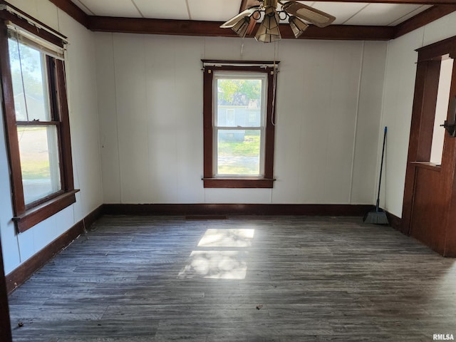 spare room with ceiling fan and dark hardwood / wood-style flooring