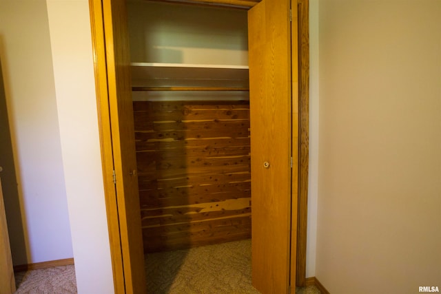 view of closet