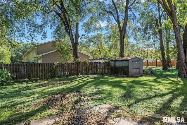 view of yard with a storage shed