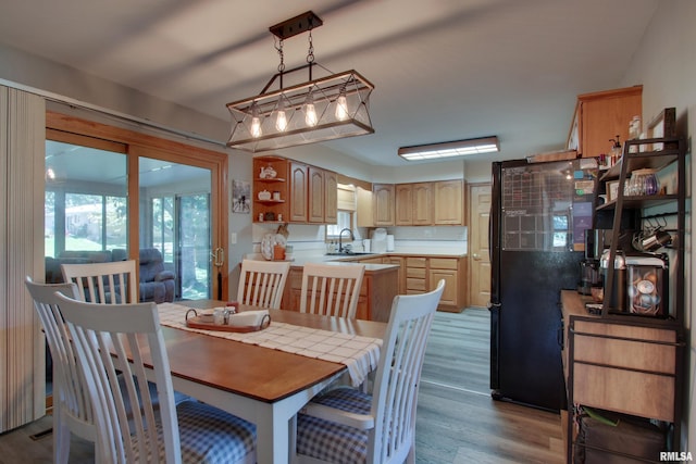 dining space featuring sink and light wood-type flooring