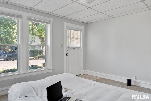 bedroom featuring carpet and a drop ceiling