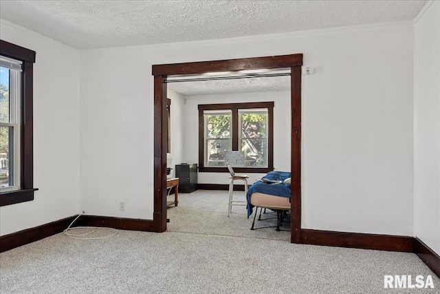 interior space featuring crown molding, a textured ceiling, and light carpet