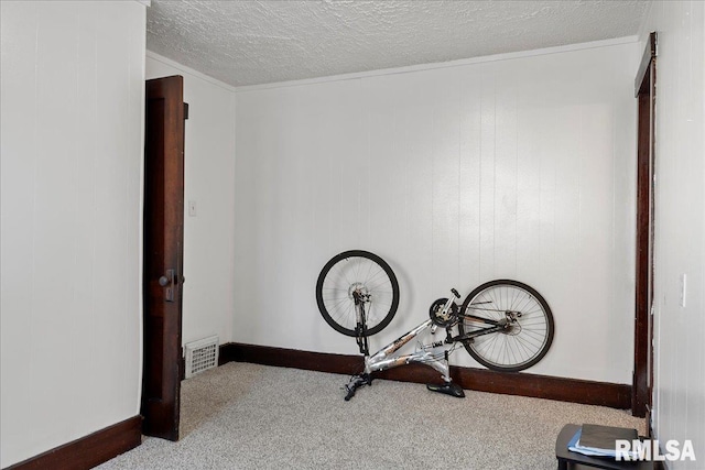 interior space featuring carpet and a textured ceiling