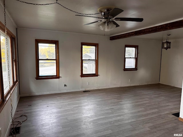 unfurnished room with ceiling fan, light wood-type flooring, and plenty of natural light