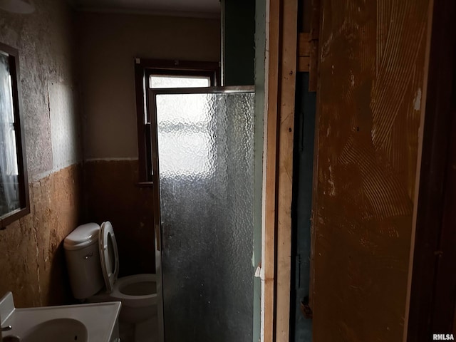 bathroom featuring an enclosed shower, vanity, and toilet