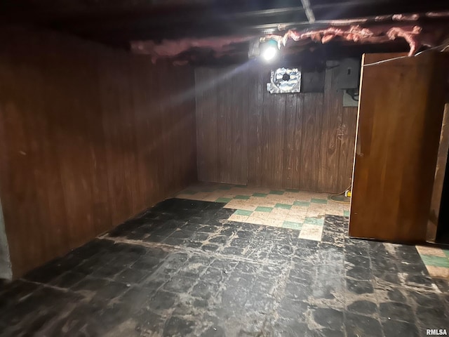 basement with wooden walls