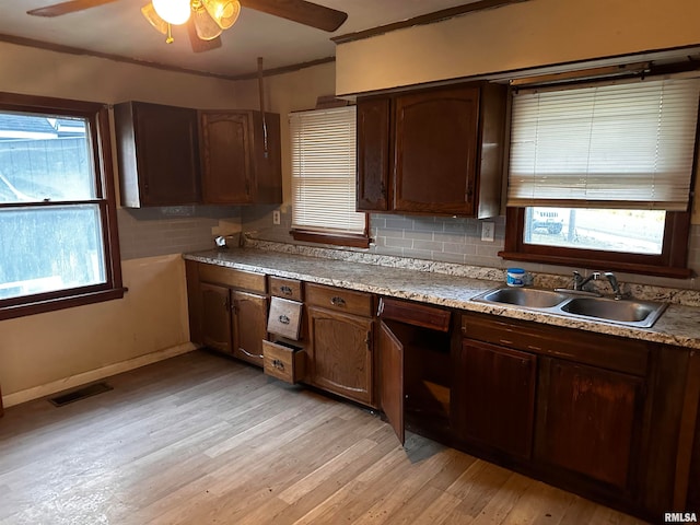 kitchen with light wood-type flooring, sink, and a wealth of natural light