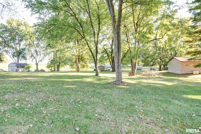 view of yard with a storage shed