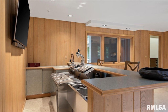 kitchen with wood walls