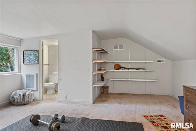 exercise room featuring vaulted ceiling