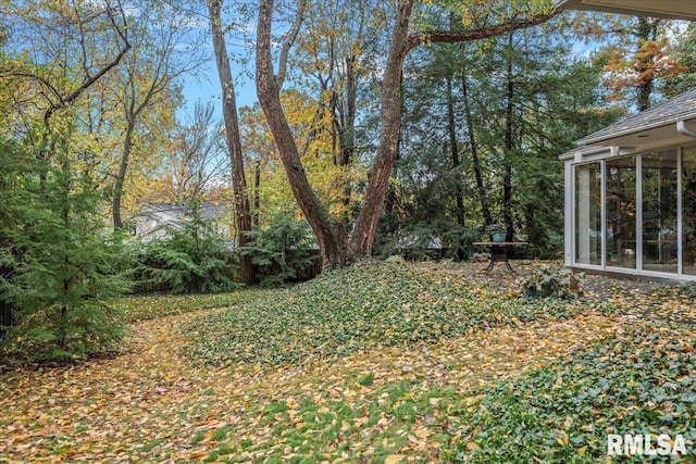 view of yard featuring a sunroom