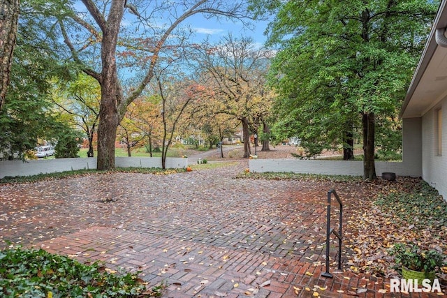 view of yard featuring a patio