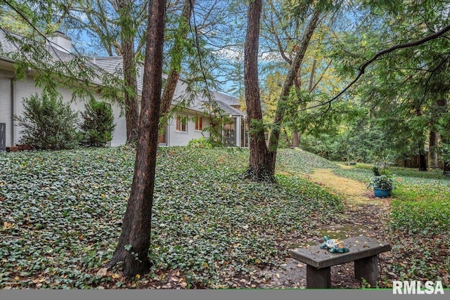 view of yard featuring a lanai