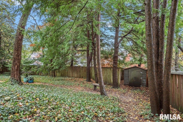 view of yard featuring a storage shed