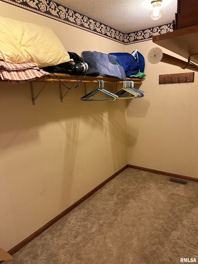 walk in closet featuring carpet floors