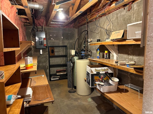 basement with electric panel